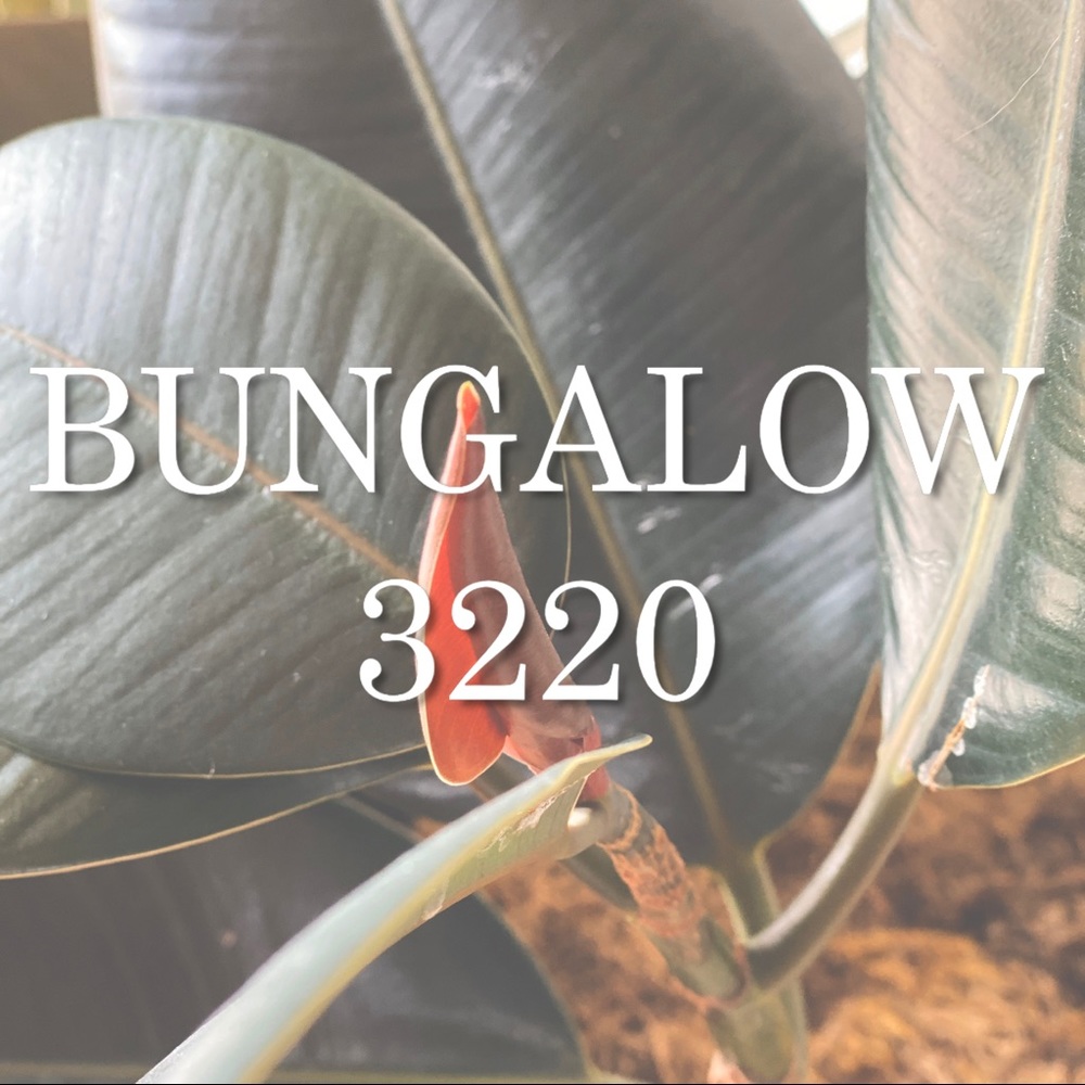 About Bungalow 3220